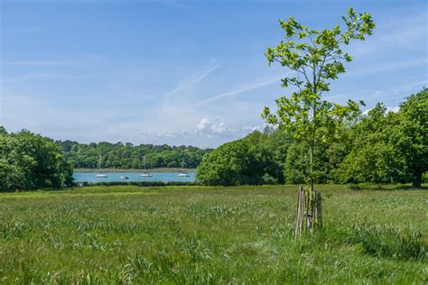 Exbury Gardens Ian Capper Cc By Sa 2 0 Geograph Britain And Ireland