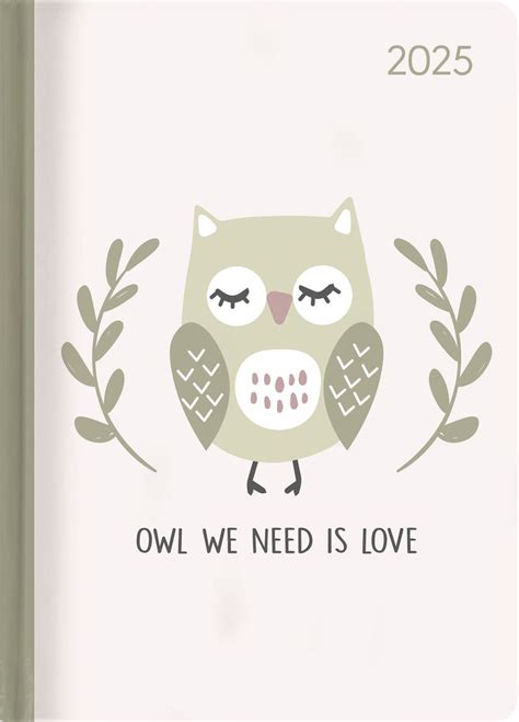 Lady Journal Owl We Need Eule Taschenkalender A X Cm