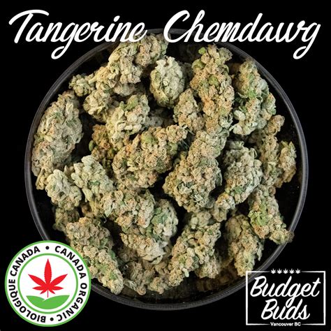 Tangerine Chemdawg Sativa Premium Organic Oz Budget Buds