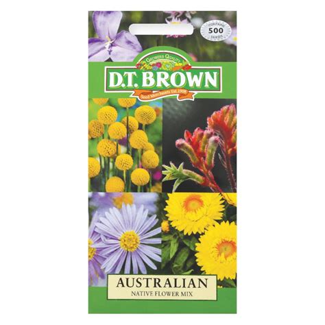 Australian Native Flower Mix Seeds - Pack of 500 - CleverPatch | CleverPatch - Art & Craft Supplies