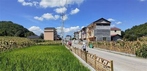 桑植县：建美丽屋场，享幸福生活 张家界 新湖南