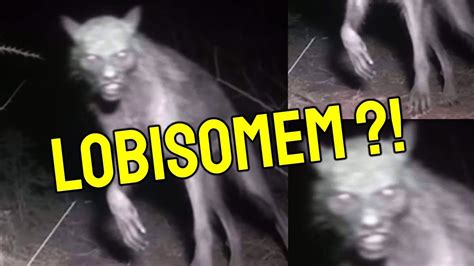 ATAQUE DE LOBISOMEM NA AMAZÔNIA MÍDIA NÃO MOSTROU ISSO YouTube