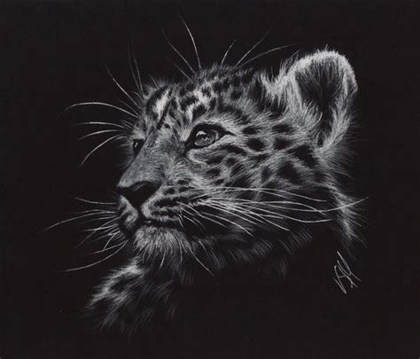 Color Pencil Drawing On Black Paper Sherywish