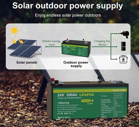 Batterie Lifepo V Ah Avec Bms S A Int Gr V Lithium Fer