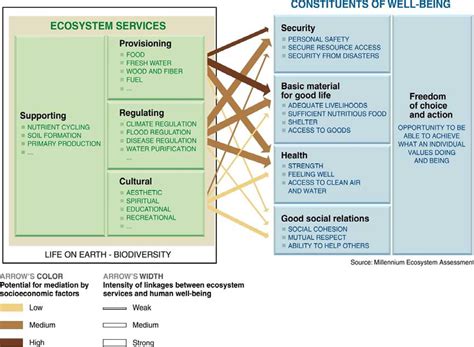 The Millennium Ecosystem Assessment 8 Framework Illustrating Possible