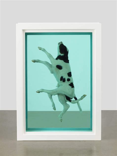 The Light That Shines Damien Hirst Réseau Plein Sud