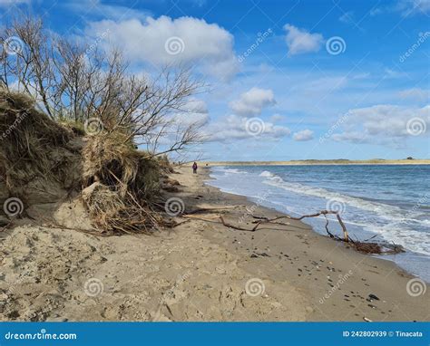 Malahide Beach in Ireland editorial stock image. Image of terrain ...