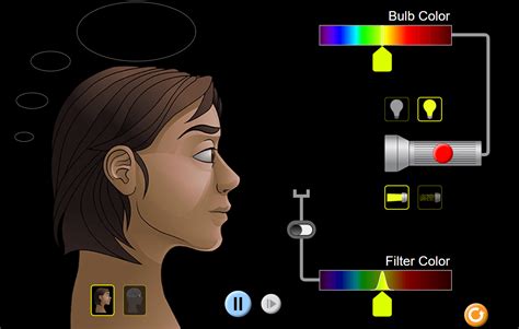 Phet Simulator Color Vision Post Lab Science Quizizz