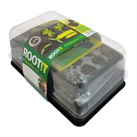 ROOTIT NATURAL ROOTING SPONGE PROPAGATION KIT Critter Bits