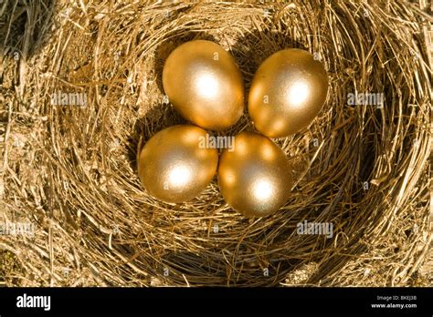 4 Golden Eggs In A Nest Stock Photo Alamy