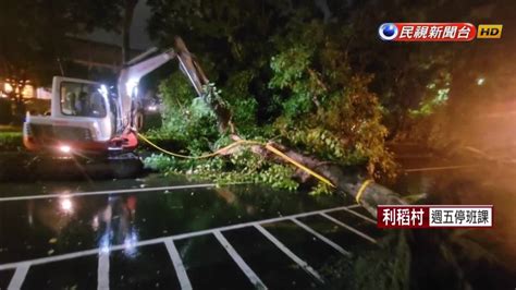 南部傳災情 高雄路樹倒塌壓汽機車 出動怪手清除 民視新聞影音 Line Today