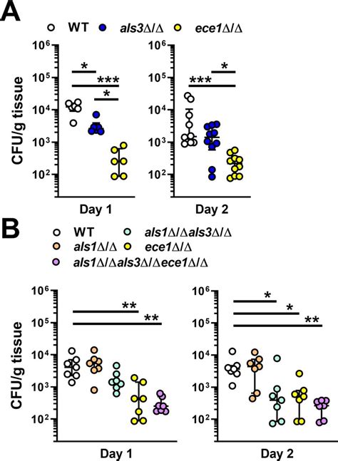 Roles Of Als1 Als3 Candidalysin In C Albicans Virulence During Opc Download Scientific