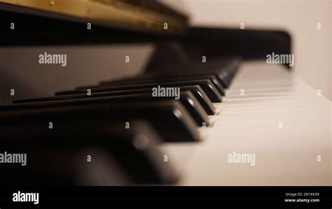 Piano keyboard, black and white Stock Photo - Alamy