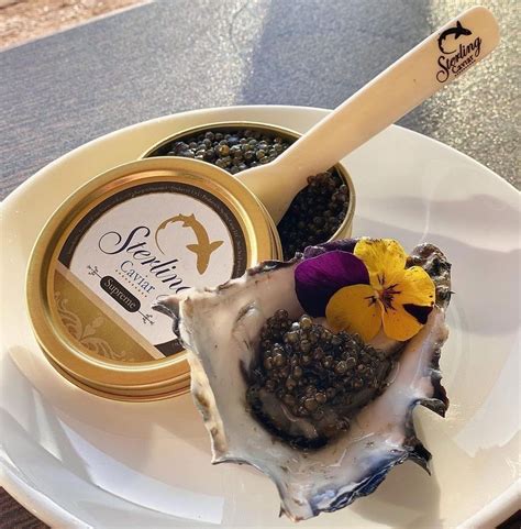 The Art of Luxury: Unveiling the Secrets of the Caviar Spoon – Sterling Caviar