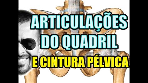 V Deo Aula Anatomia Humana Sistema Articular Articula Es Do