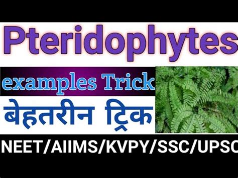 #PteridophytaTrick|Trick to learn examples of pteridophytes ...