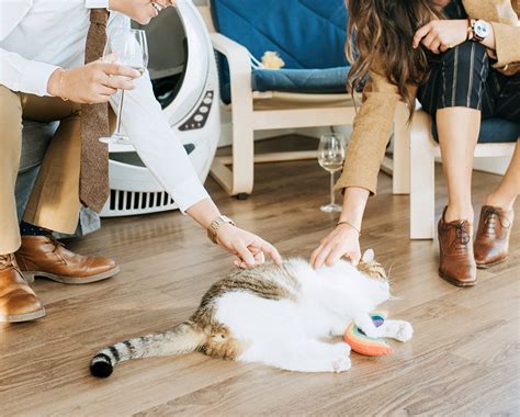 Litter Robot 3 Connect And Feeder Robot Connected Home Bundle