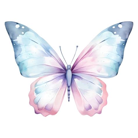 Premium Vector | Colorful butterfly clipart