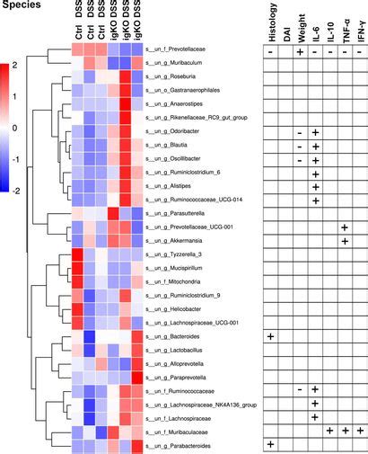 Frontiers Repulsive Guidance Molecule B Deficiency Induces Gut