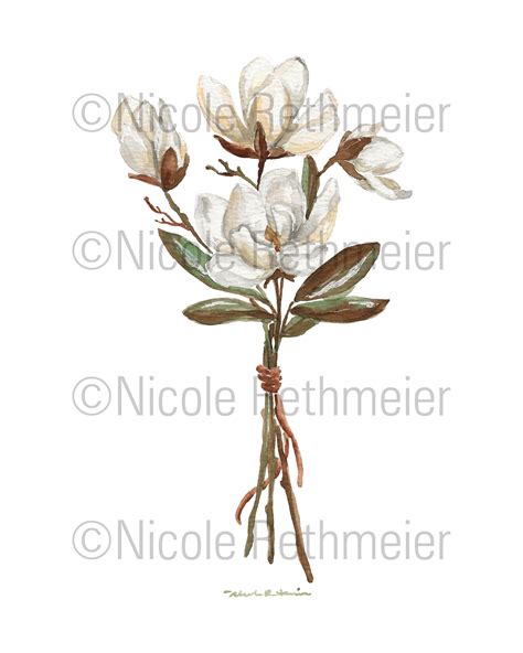 Watercolor Magnolia Flowers - Botanical Art Watercolor