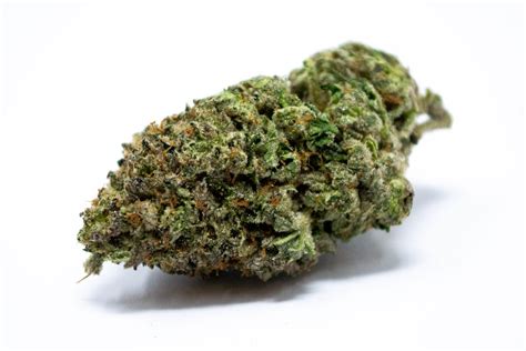 Pink Champagne - Big Green Train