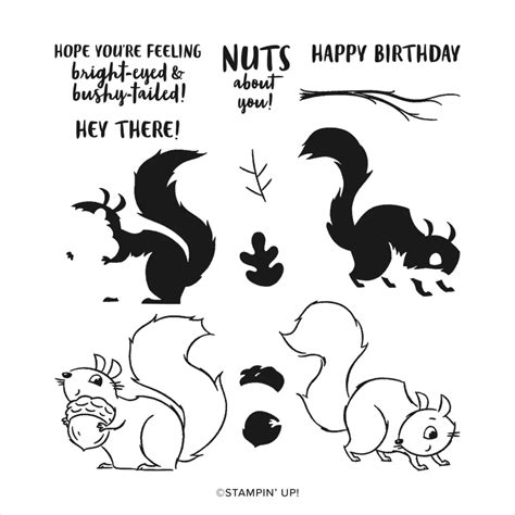 Nuts About Squirrels Card Tutorial Tina Zinck Stampin Up