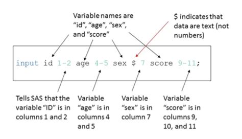 Components Of A Sas Session Applied Statistics In Healthcare Research