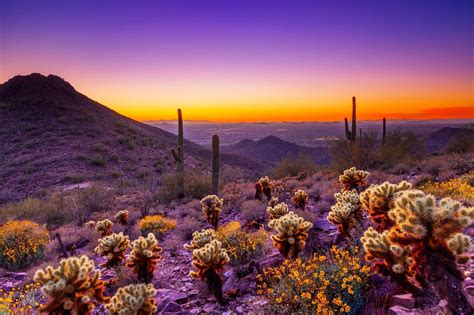 Arizona Sunset Arizona Sunset Arizona Landscape Desert Landscaping