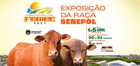 FEMEC 2024 A Maior Feira Do Agro De Minas