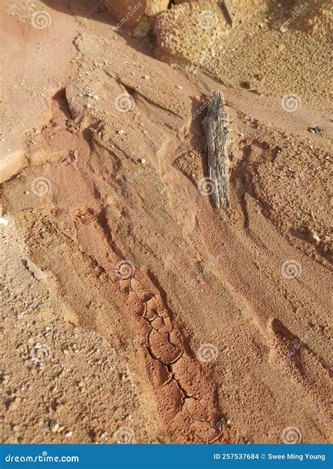 Barren Land Due To Erosion After Deforestation Stock Photo Image Of