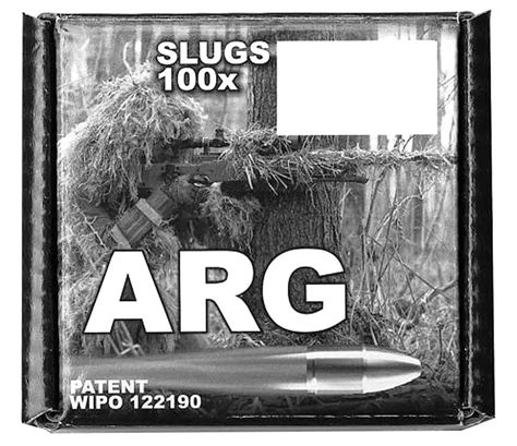 ARG Slugs Hollow Point 6 35mm 250 34 Grains Dicks Dumpstore