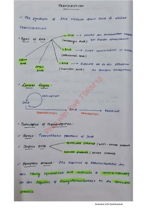 SOLUTION Transcription Studypool