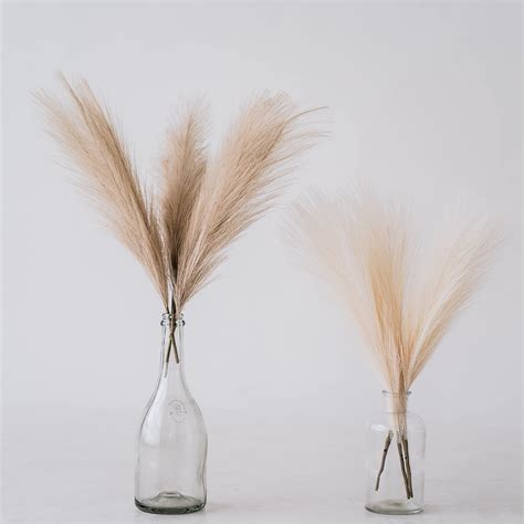 Buy Chagoart Pampas Grass Decor Tall Faux Pampas Grass Small