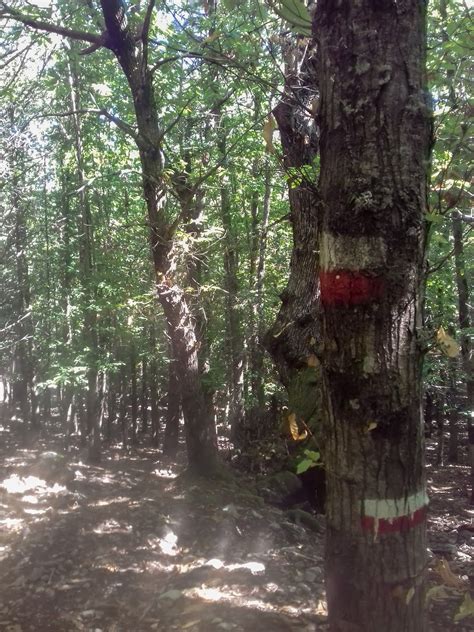 Escursione In Aspromonte Pietra Cappa E Rocce Di San Pietro