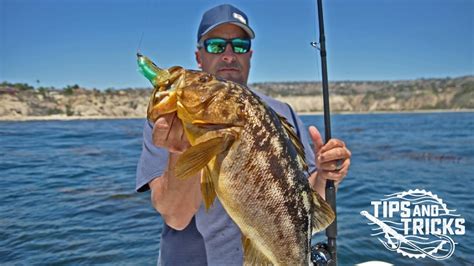 Calico Bass Essentials Tricks And Tips With Bd Pro Erik Landesfeind Bdoutdoors