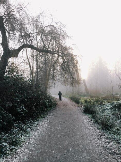 Premium Photo Mid Distance View Of Man Walking On Road During Foggy