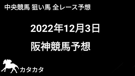 競馬予想 2022年12月3日 阪神競馬予想 全レース予想 競馬動画まとめ