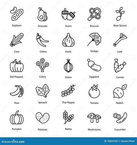 Vegetables Icons Vector Pack Stock Vector Illustration Of Avocado