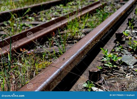 Overgrown Old Unused Rusted Railroad Tracks Resting On Wooden Railroad