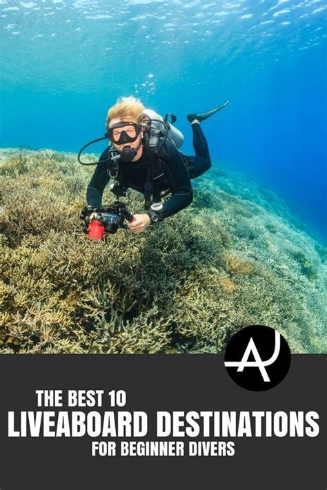 Top 10 Best Liveaboard Destinations For Beginner Divers Best Scuba