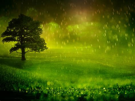 Beautiful Rainy wallpaper | 1280x960 | #80632