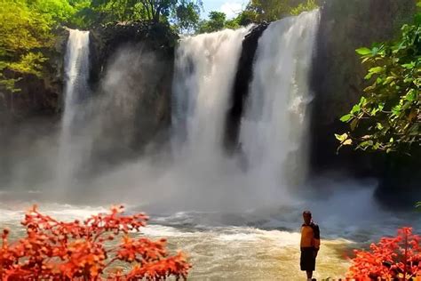 Ada Bunga Tapi Bukan Sakura Inilah Pesona Curug Bengkawah Di Jawa