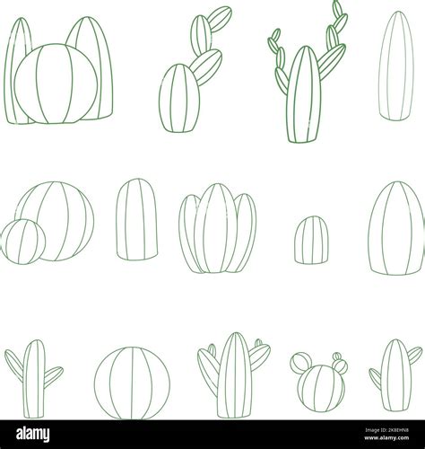 Line Art Style Cactus Or Cacti Illustration Collection For Logos And