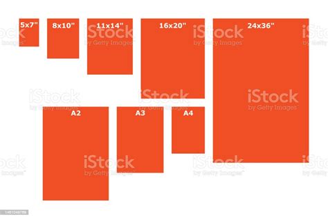 Print Sizes Guide Stock Illustration - Download Image Now - Graphic Print, Guidance, Printout ...