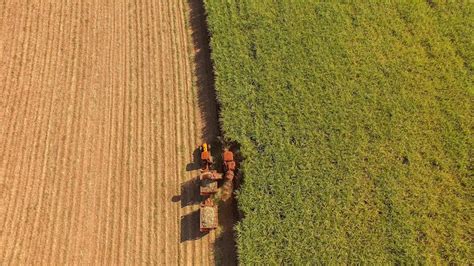 O Agroneg Cio Brasileiro Em Um Ano De Desafios E Conquistas