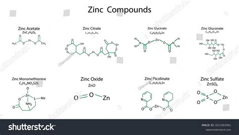 Zinc Compounds On White Background Infographic Stock Vector Royalty