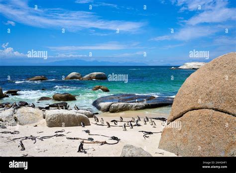 sea view in cape town south africa Stock Photo - Alamy