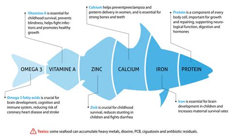 Fish and Health Benefits - FOTIS EDU