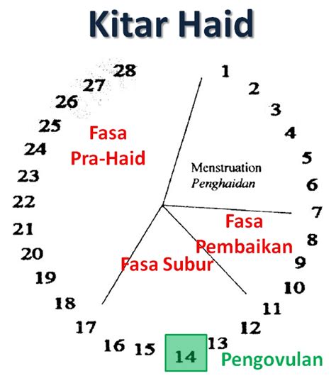 Kitaran Haid