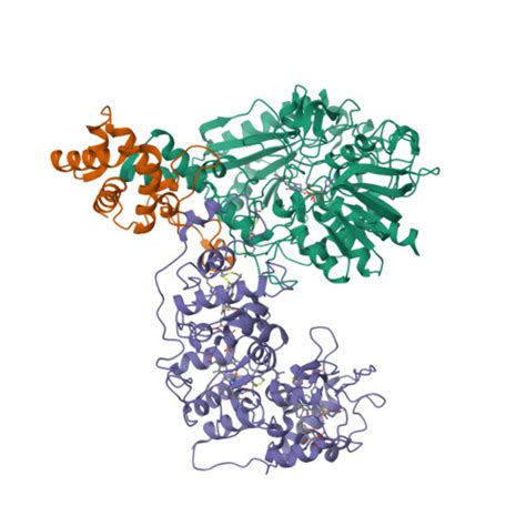 RCSB PDB 8XCN Cryo EM Structure Of Membrane Bound Fructose